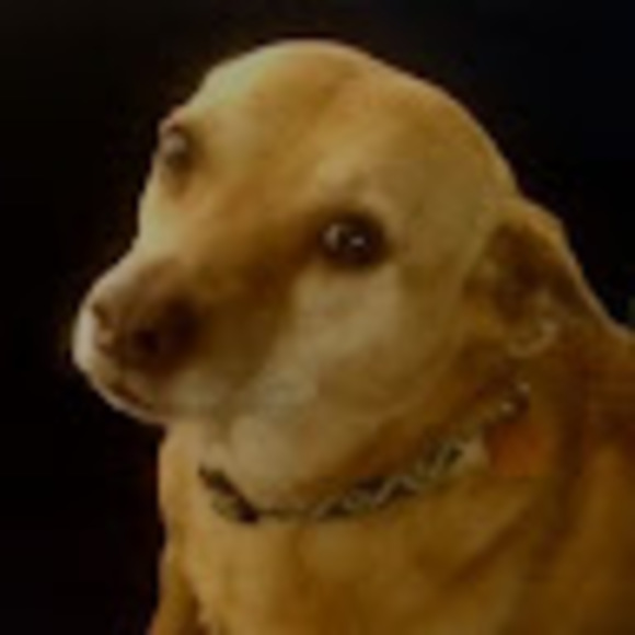 sadibella